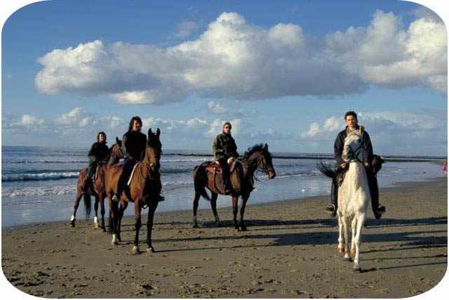 ruiters op het strand van Den Helder